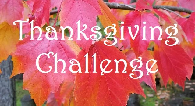 Thanksgiving Challenge