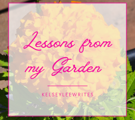 Lessons from my Garden