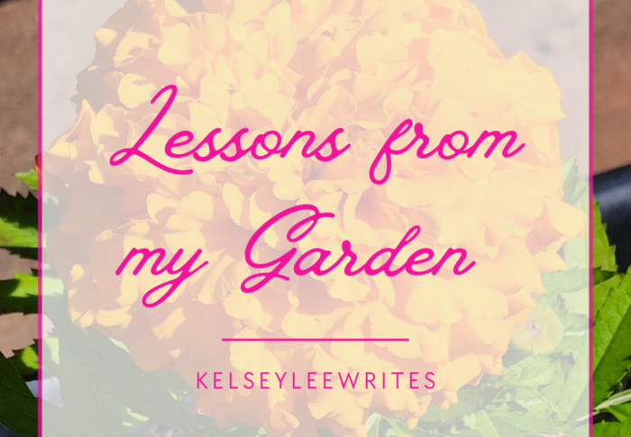 Lessons from my Garden