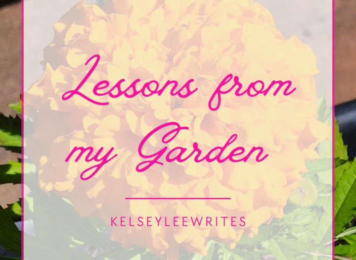 Lessons from my Garden