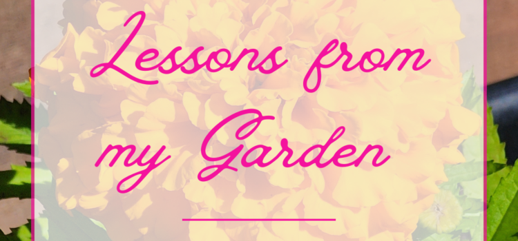 Lessons from my Garden