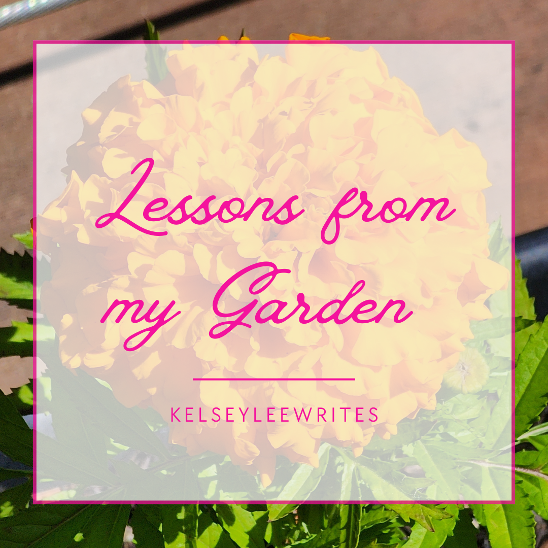 Lessons from my Garden