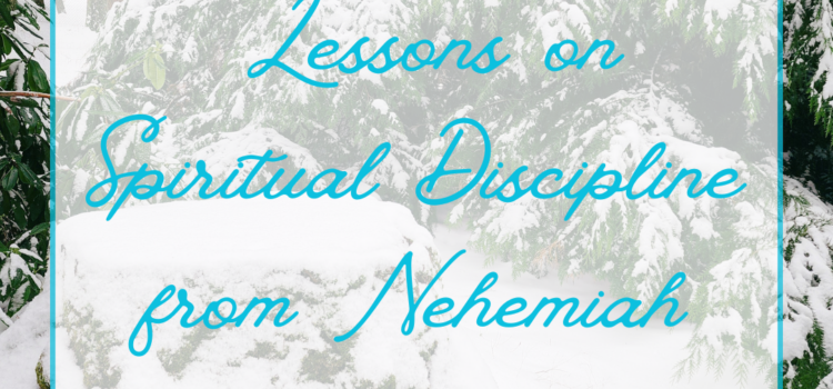 Lessons on Spiritual Discipline from Nehemiah